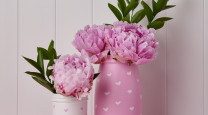 Valentine’s Day on a budget: DIY painted vases  photo