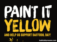 Paint it YELLOW and help us support the Cancer Society this August