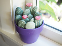 Make your own rockin' cacti