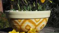 Let your Daffodils shine with this DIY planter pot photo