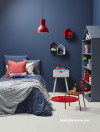 Blue-red brigade