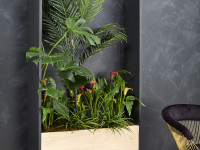 How to make a living art wall planter