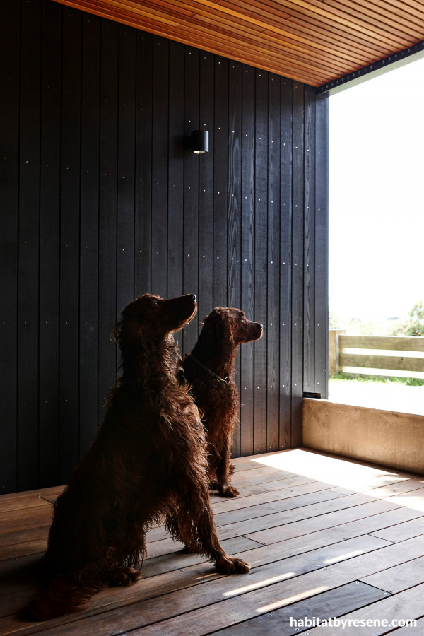 The dark timber stain of Resene Woodsman Pitch Black complements the other natural tones in the wood.  