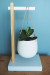 Branch out with this gorgeous DIY plant stand