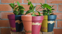 A pot-tastic DIY: Make your own colourful plant pots  photo