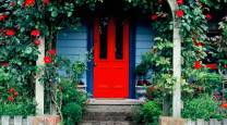 Robyn's Colourful Cottage photo